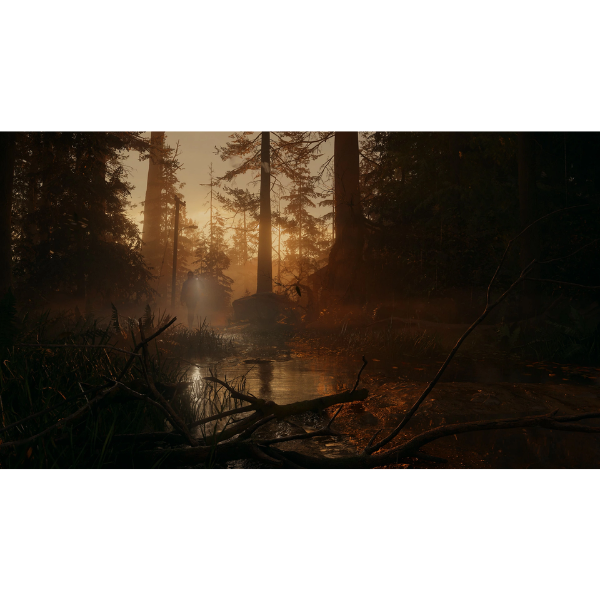 SONY PlayStation 5 (PS5) | Alan Wake 2
