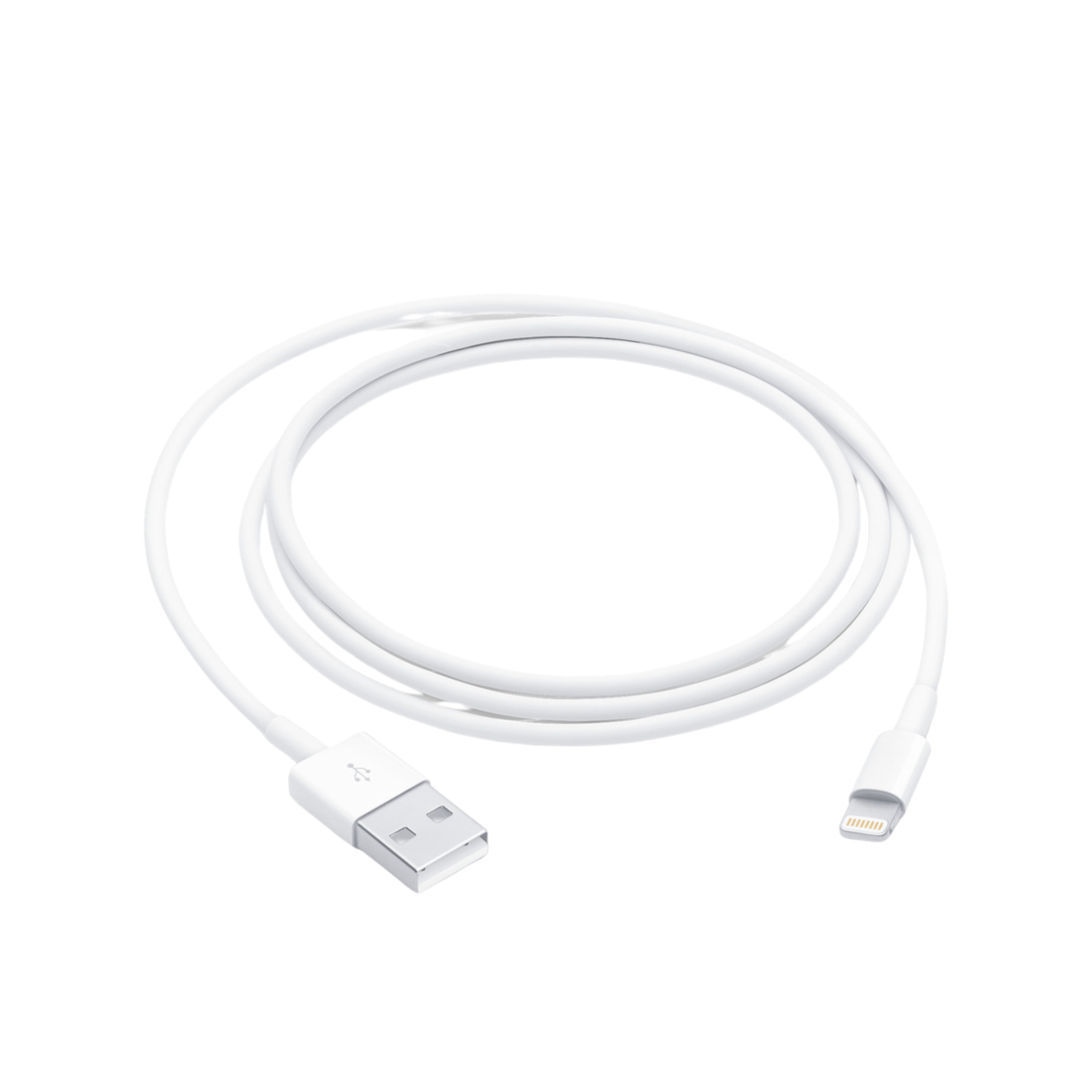 Lightning to USB Cable (1 m).