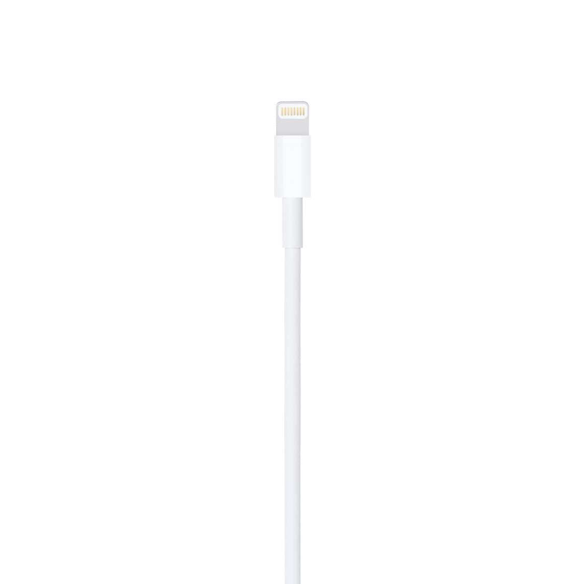 Lightning to USB Cable (1 m).