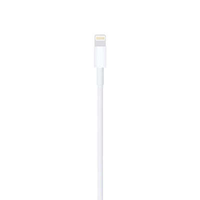 Lightning to USB Cable (1 m).