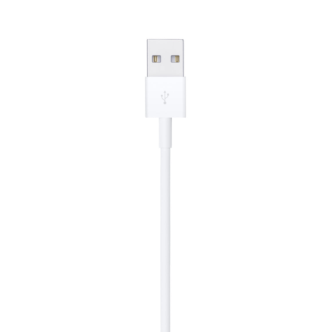 Lightning to USB Cable (1 m).