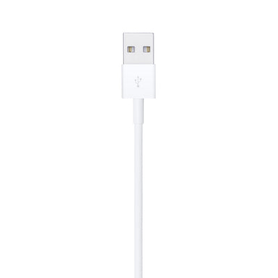 Lightning to USB Cable (1 m).
