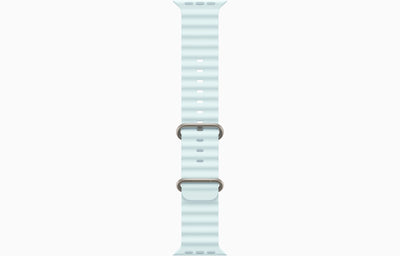 Apple Watch Ultra 2 Natural Titanium Case Ocean Band.