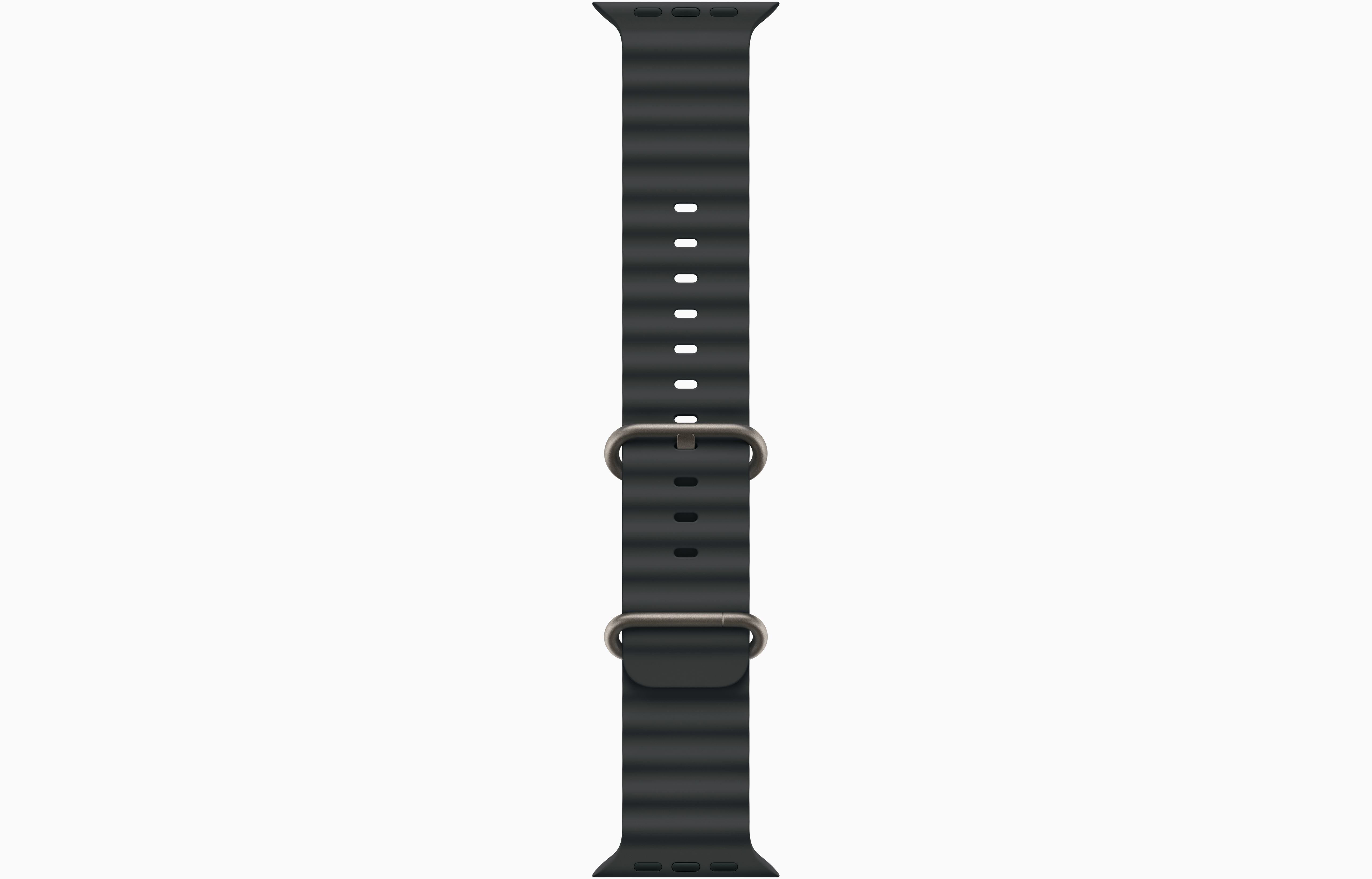 Apple Watch Ultra 2 Natural Titanium Case Ocean Band.