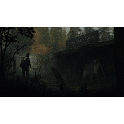 SONY PlayStation 5 (PS5) | Alan Wake 2