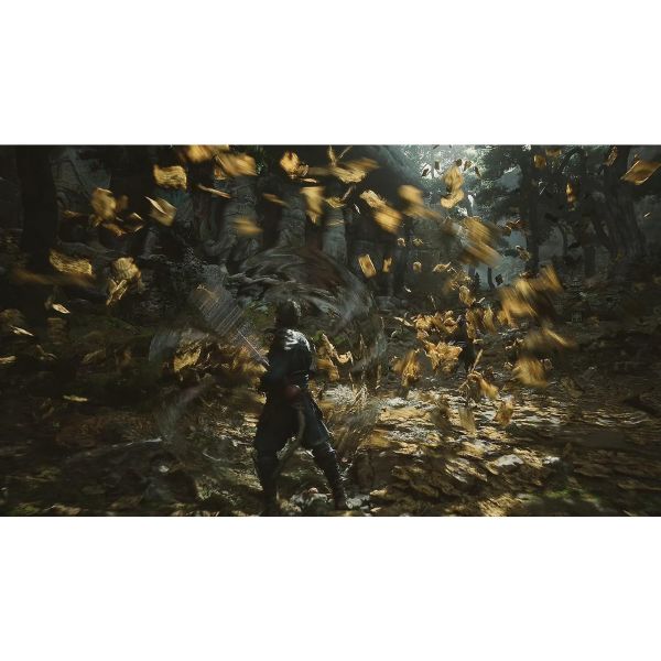 Sony Playstation 5  Black Myth Wukong